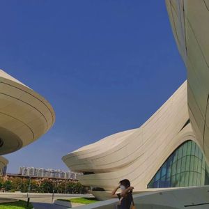 国产一区二区免费视频
