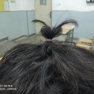 国产一区二区免费视频
